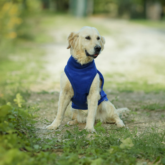 Kuccu Kuccu Softshell-Hundejacke – Blau mit Camouflage-Print | Große Rassen | Größen 3XL–6XL